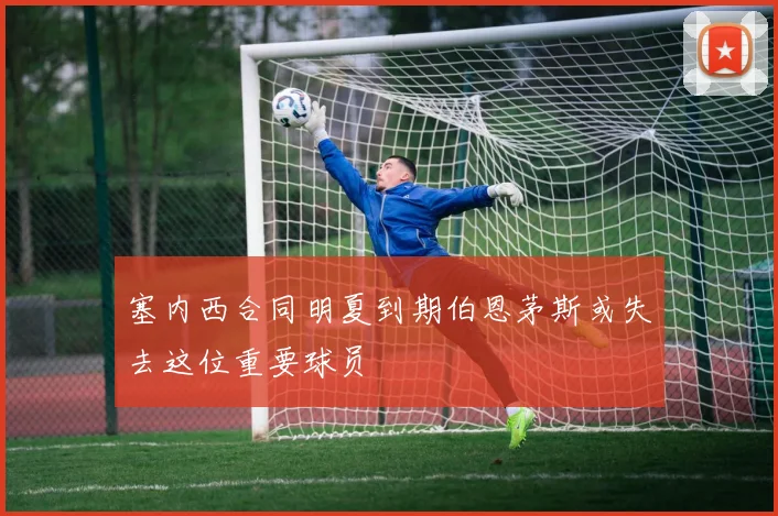 塞内西合同明夏到期伯恩茅斯或失去这位重要球员