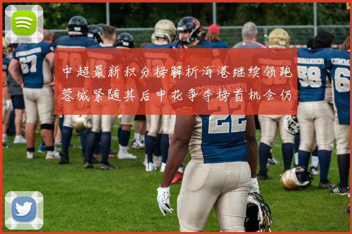 中超最新积分榜解析海港继续领跑蓉城紧随其后申花争夺榜首机会仍在