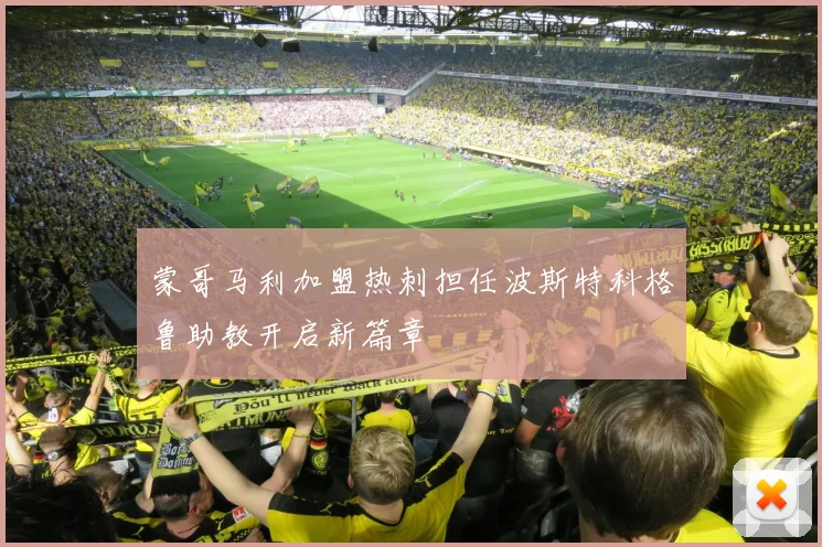 蒙哥马利加盟热刺担任波斯特科格鲁助教开启新篇章