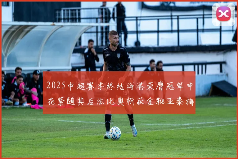 2025中超赛季终结海港荣膺冠军申花紧随其后法比奥斩获金靴亚泰梅州遗憾降级