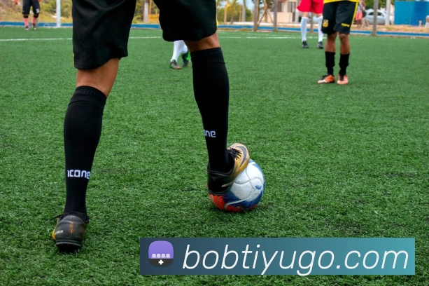 BOB体育平台生态图